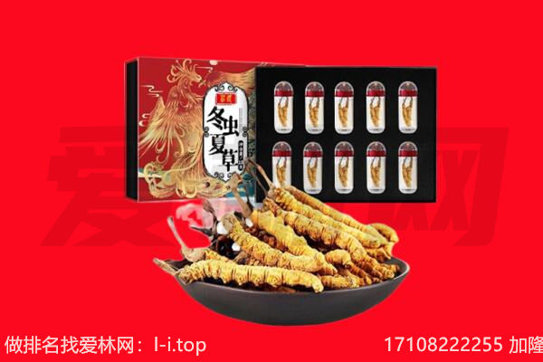 八宿县回收虫草.jpg